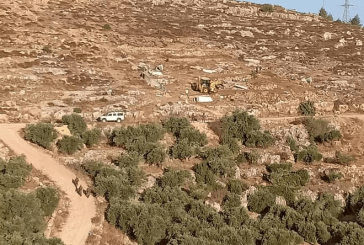 الاحتلال يعتدي على قاطفي الزيتون ويعتقل 6 منهم في حوسان
