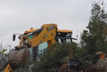 الاحتلال يجرف نحو 10 دونمات من الأشجار المثمرة في بيت أمر