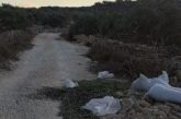 الاحتلال يعتقل شابين من بلدة حبلة