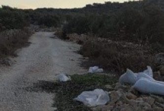 الاحتلال يعتقل شابين من بلدة حبلة