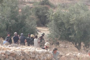 اصابة متضامنة أجنبية بعد الاعتداء عليها بالضرب من قبل مستوطن