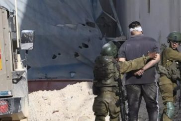 الاحتلال يعتقل شابين من مدينة قلقيلية