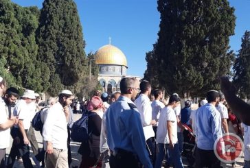 170 مستوطنا يقتحمون المسجد الأقصى