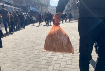الأمم المتحدة: جميع مخابر غزة تغلق أبوابها