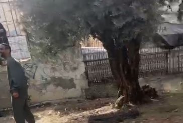 شاهد- عائلة أبو الهوى ببلدة الطور تستعيد عقارها من المستوطنين