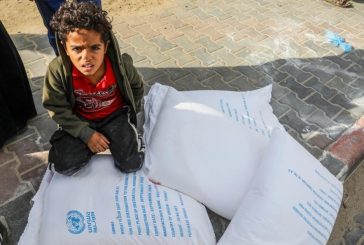 ارقام صادمة حول أطفال غزة