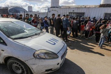 الأمم المتحدة: نشهد انهيار القانون والنظام في غزة والنهب المسلح لإمداداتنا