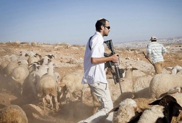 مستوطنون يقيمون بؤرة جديدة في الأغوار الشمالية