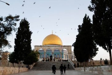 المفتي: الثلاثاء غرة شهر جمادى الآخرة