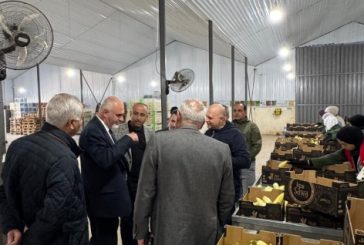 الوزير سليمية يتفقد مركز التعبئة والتغليف للشركة الأردنية الفلسطينية للتسويق الزراعي في الاردن