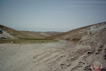 تقرير: 