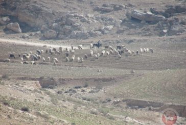 الاحتلال يعتقل 5 مواطنين من مسافر يطا جنوب الخليل