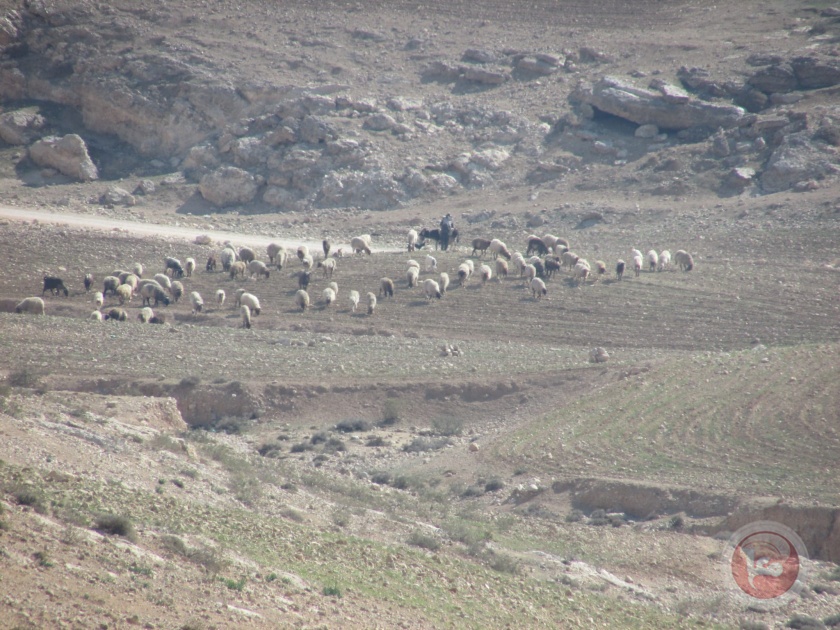 الاحتلال يعتقل 5 مواطنين من مسافر يطا جنوب الخليل