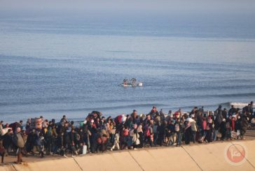 مبعوث ترامب: على مصر والأردن تقديم بديل عن استقبال الفلسطينيين