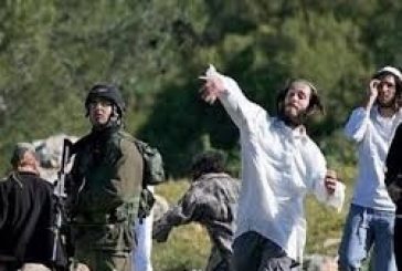 مستوطنون يهاجمون منازل المواطنين جنوب نابلس​​​​​​​