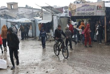 463 يوما للحرب على فلسطين
