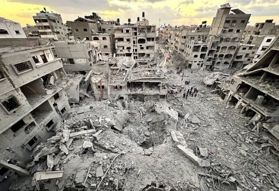 صحة غزة: 14 شهيدا خلال 24 ساعة و46,913 منذ بدء الحرب