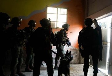 الاحتلال يعتقل 3 مواطنين ومستوطنون يهاجمون المركبات على شارع قلقيلية-نابلس
