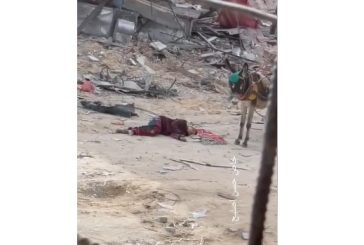 الاحتلال يعدم طفلا ويصيب آخر وسط مدينة رفح