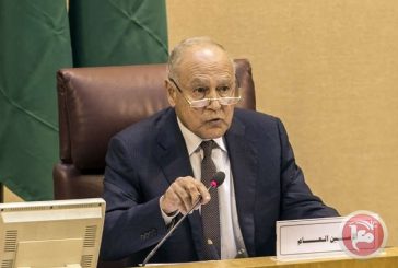 أبو الغيط: الفلسطينيون لن يكونوا وحدهم أبدا ولن يُسمح بنكبة ثانية