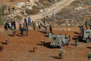 مستوطنون يحرقون منزلا ومركبة في تجمع بدوي شمال شرق القدس