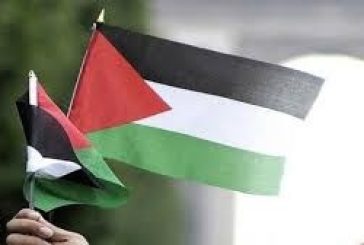 فلسطين تحصد مراكز متقدمة في مسابقة 