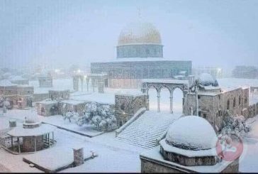موجة باردة جدا قادمة - منخفضات جوية وأمطار غزيرة وثلوج