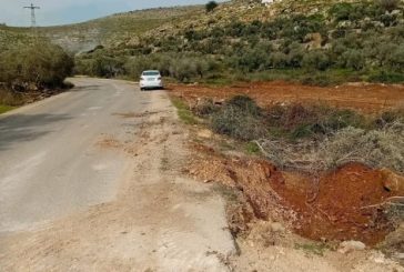 الاحتلال يواصل تجريف واقتلاع أشجار الزيتون غرب سلفيت
