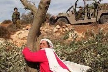 الخليلي تشيد بصمود المرأة الفلسطينية وتؤكد أهمية تمكينها بمواجهة التحديات