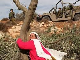 الخليلي تشيد بصمود المرأة الفلسطينية وتؤكد أهمية تمكينها بمواجهة التحديات