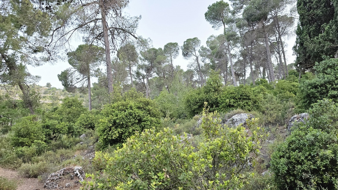 اجواء شديدة الحرارة