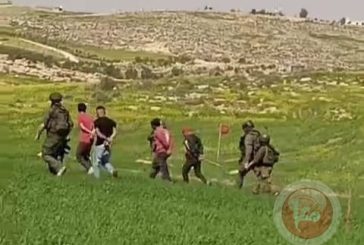 مستوطنون يهاجمون رعاة الاغنام وجيش الاحتلال يعتقل مواطنون من مسافر يطا