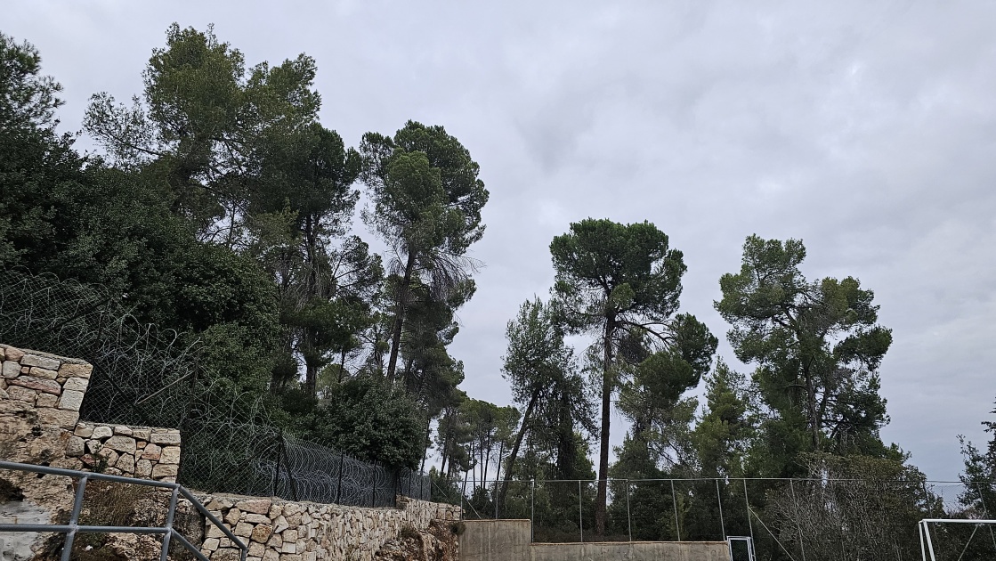 الطقس: أجواء غائمة جزئيا وارتفاع على درجات الحرارة