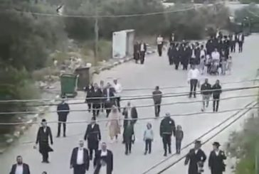 مستوطنون يقتحمون بلدة كفل حارس شمال سلفيت