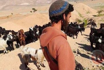 تقرير: البؤر الاستيطانية والمزارع الرعوية وجه جديد للاستيطان