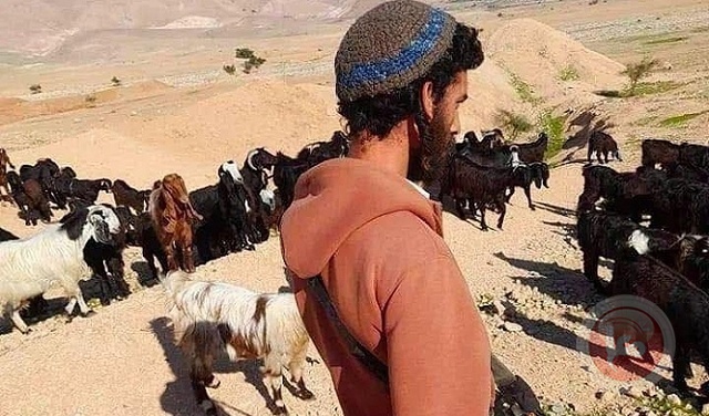 تقرير: البؤر الاستيطانية والمزارع الرعوية وجه جديد للاستيطان