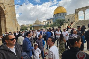 1743متطرفا يقتحمون الأقصى