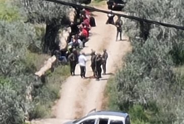 مستوطنون يهاجمون مزارعين جنوب سلفيت والاحتلال يتحتجز عددا منهم