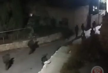 الاحتلال يعتقل 20 مواطنا ويداهم عددا من المنازل قي ديراستيا