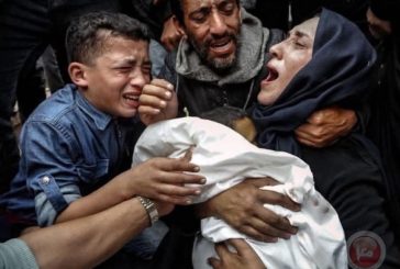 الطبيبة الاء النجار تستقبل أطفالها أشلاء متفحمين جراء قصف الاحتلال
