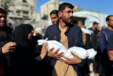 19 شهيدا و81 إصابة خلال يوم في غزة