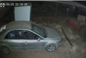 مستوطنون يعتدون على ممتلكات مواطنين في الأغوار ويسرقون الاغنام