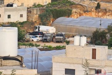 الاحتلال يعتقل 11 مواطنا من محافظة الخليل