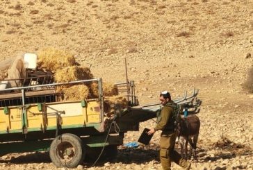 الاحتلال يواصل اعتداءاته على المواطنين وممتلكاتهم في الاغوار