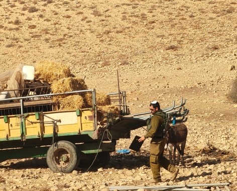 الاحتلال يواصل اعتداءاته على المواطنين وممتلكاتهم في الاغوار