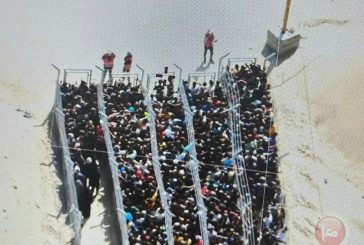 بدء الآلية الجديدة...الاف الغزيين يتوجهون إلى مراكز التوزيع في رفح