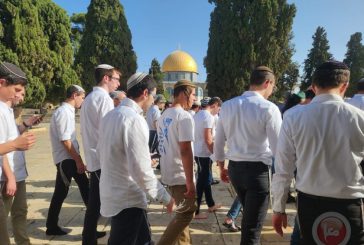 شاهد- انتهاكات خطيرة واقتحامات واسعة للأقصى في ذكرى احتلال القدس