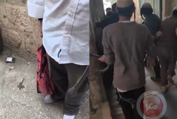 سابقة خطيرة- مستوطن يُدخل ماعزا إلى الأقصى وينبطح أرضا (فيديو)