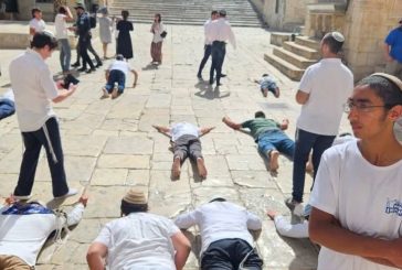 بذكرى احتلاله.. المستوطنون يحولون الأقصى لمسرح غنائي واستعراض سياسي