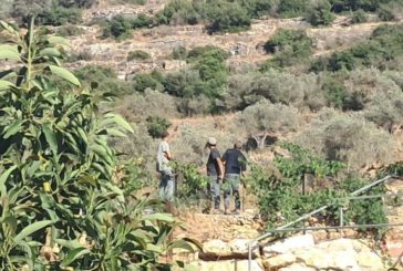مستوطنون يعتدون على أرض زراعية في منطقة 